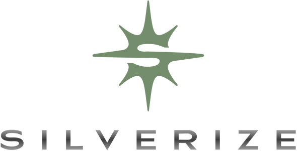 Silverize